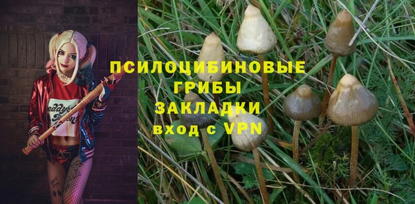 сатива Михайлов