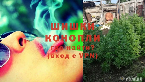 прущие грибы Михайловск