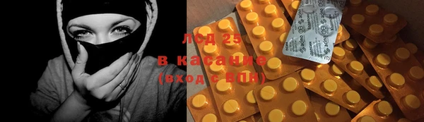 прущие грибы Михайловск