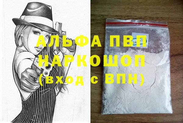 прущие грибы Михайловск