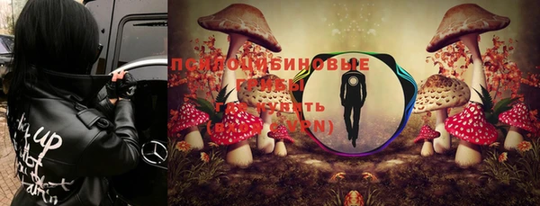 Альфа ПВП Медногорск
