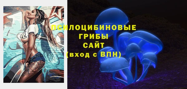 винт Медвежьегорск