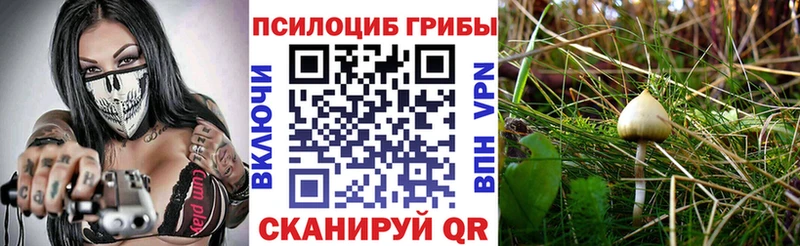 Галлюциногенные грибы MAGIC MUSHROOMS  сколько стоит  Скопин 