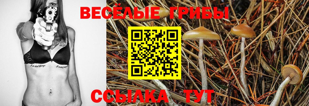 Галлюциногенные грибы мухоморы  Скопин  Псилоцибиновые грибы Psilocybe 