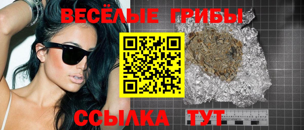 Скопин  Псилоцибиновые грибы Psilocybine cubensis  Вход с VPN 