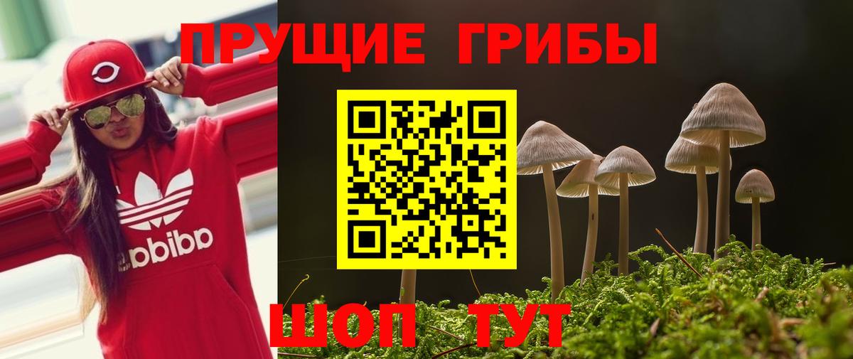 Псилоцибиновые грибы мухоморы Скопин